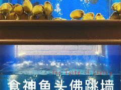 -食神鱼头佛跳墙(百子湾旗舰店)