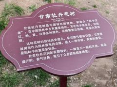 -太阳宫公园