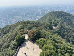 -杭州半山国家森林公园