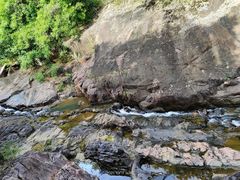 -广州白江湖森林公园