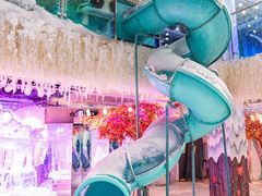 -海合安武汉极地海洋公园