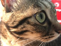 -惠王陵(地铁站)