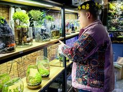 -三圣花乡旅游区