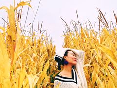 -一招鲜·全羊铺·蒙古奶茶(五一北路店)