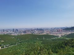 -佛慧山