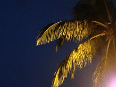 -Sunset Bar(丹绒亚路香格里拉店)