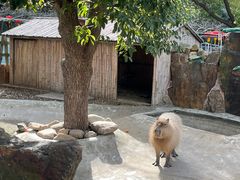 -无锡动物园·太湖欢乐园