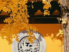 -龙华寺