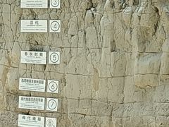 -金沙遗址博物馆