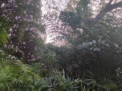 -柳侯公园