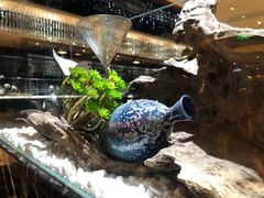 -红辣椒·川菜·火锅(张杨路店)