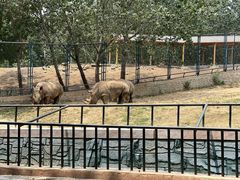 -大连森林动物园