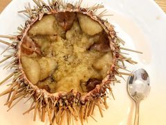 -海胆小馆(东北水饺·春柳店)