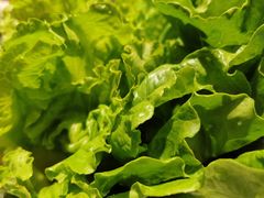 -范儿·嫂子烤肉·精致炭火烤肉(长治路店)