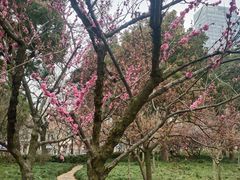 -COSTA COFFEE(上海虹口公园店)