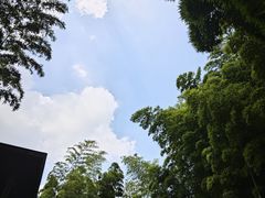 -树山生态村
