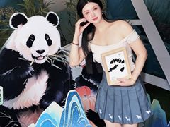 -灵玲国际马戏城