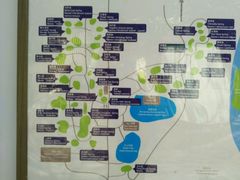 -三亚珠江南田温泉度假区