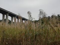 -红山村