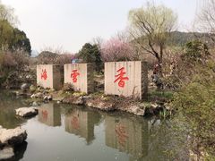 -香雪海
