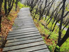 -白草畔自然风景区