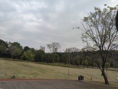 -牛岗山公园