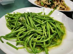 清炒泥蒿-旅宁大酒店