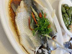 -津津菜馆(绝没分店)