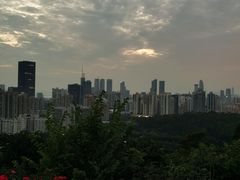 -莲花山公园