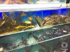 -盒马鲜生(宝地店)