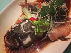 -骏莱海鲜鱼港(五角场店)