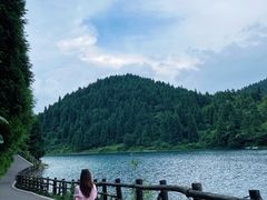 -武陵山森林公园