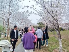 -堤角公园