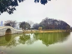 -古琴台