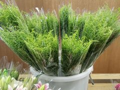 -鹿岛会员店 (龙湖三千集天街店)