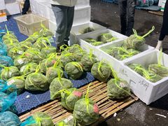 -新农都水产市场