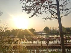 -上海浦江郊野公园·1号停车场