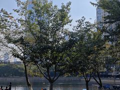 -西北湖绿化广场