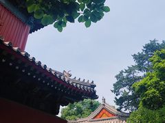 -北京艺术博物馆(万寿寺)