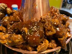 -刘记光大火锅鸡(北行店)