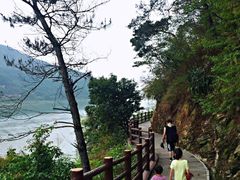 -羚羊峡古栈道森林公园