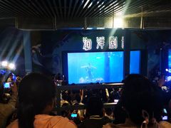 -洛阳龙门海洋馆