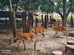 -鄂尔多斯野生动物园