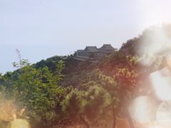 -石老人观光园
