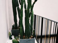 -大树餐厅(红旗街万达店)