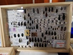 -广州市第二少年宫