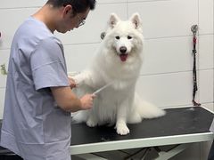 -达爱动物医院·犬猫分区·CT·复杂眼科(远洋山水分院)