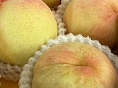 -南汇水蜜桃采摘(大团店)