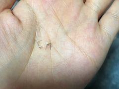 -大桥道糕点食品店(津塘路店)