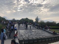 -吴淞炮台湾湿地森林公园烧烤区